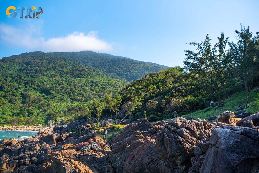 Black Rock Beach offers peaceful natural scenery for you to enjoy and immerse yourself