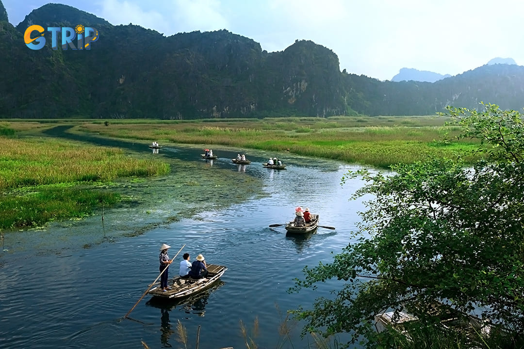 Van Long Wetland Nature Reserve offers memorable boat tours