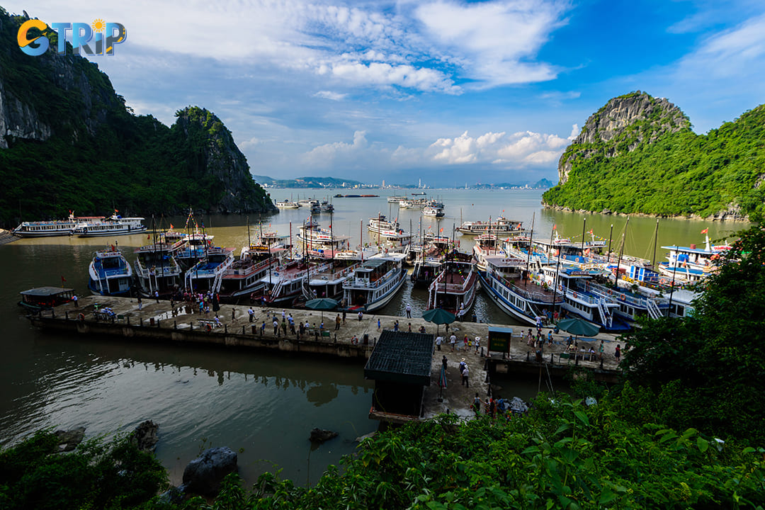 Boat tours departing from Bai Chay or Tuan Chau Marina are the most popular way to access the Virgin Cave