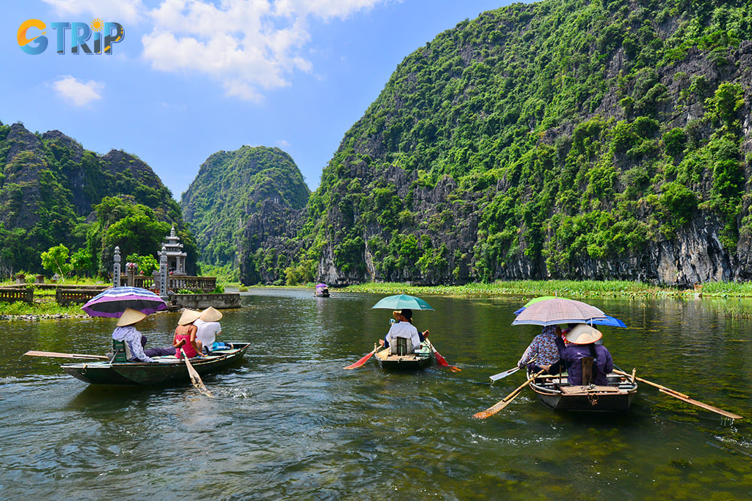 Boat tours in Tam Coc invites you to enjoy the beauty of golden rice fields and towering limestone cliffs