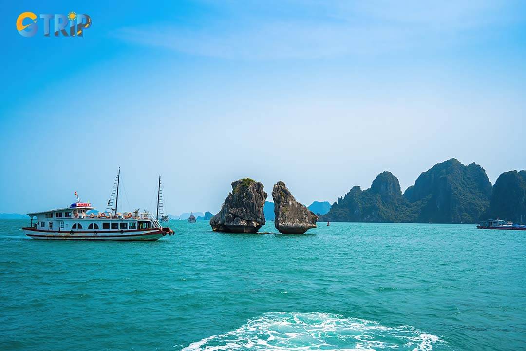 Booking your tour or cruise in advance, especially during peak seasons (October to April), is essential to secure a spot and ensure a smooth visit to Fighting Cock Islets