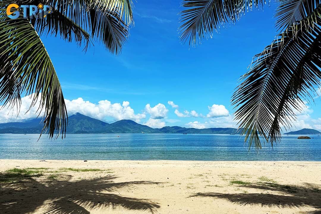Bring cash, pack beach essentials, ride carefully on Son Tra roads, visit early or late for better light, keep the beach clean, and respect wildlife