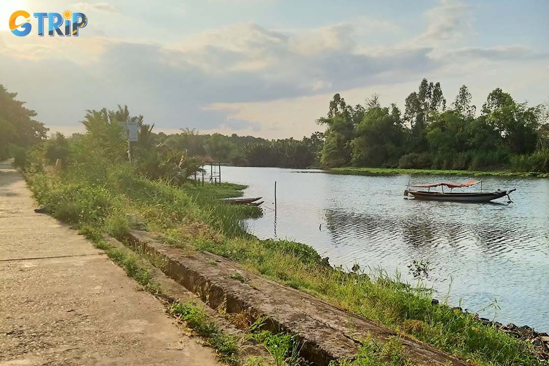 Cam Kim Island route sees rice fields, water buffalo, and peaceful rural scenery