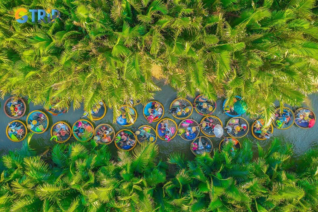 Cam Thanh Coconut Village is a peaceful eco-cultural retreat where lush coconut forests, traditional crafts, and authentic local life come together in perfect harmony