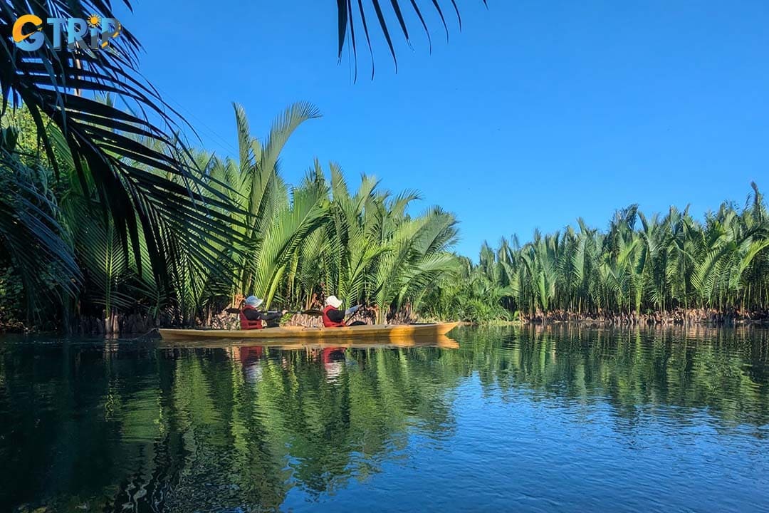 Cam Thanh Mangrove Forest or Cam Thanh Coconut Forest is Hoi An's most iconic kayaking destination