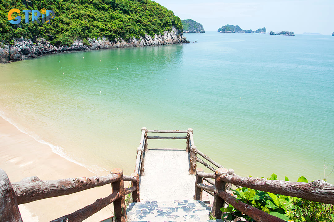 Cat Ba Island is a marine paradise that offers incredible opportunities for snorkeling enthusiasts