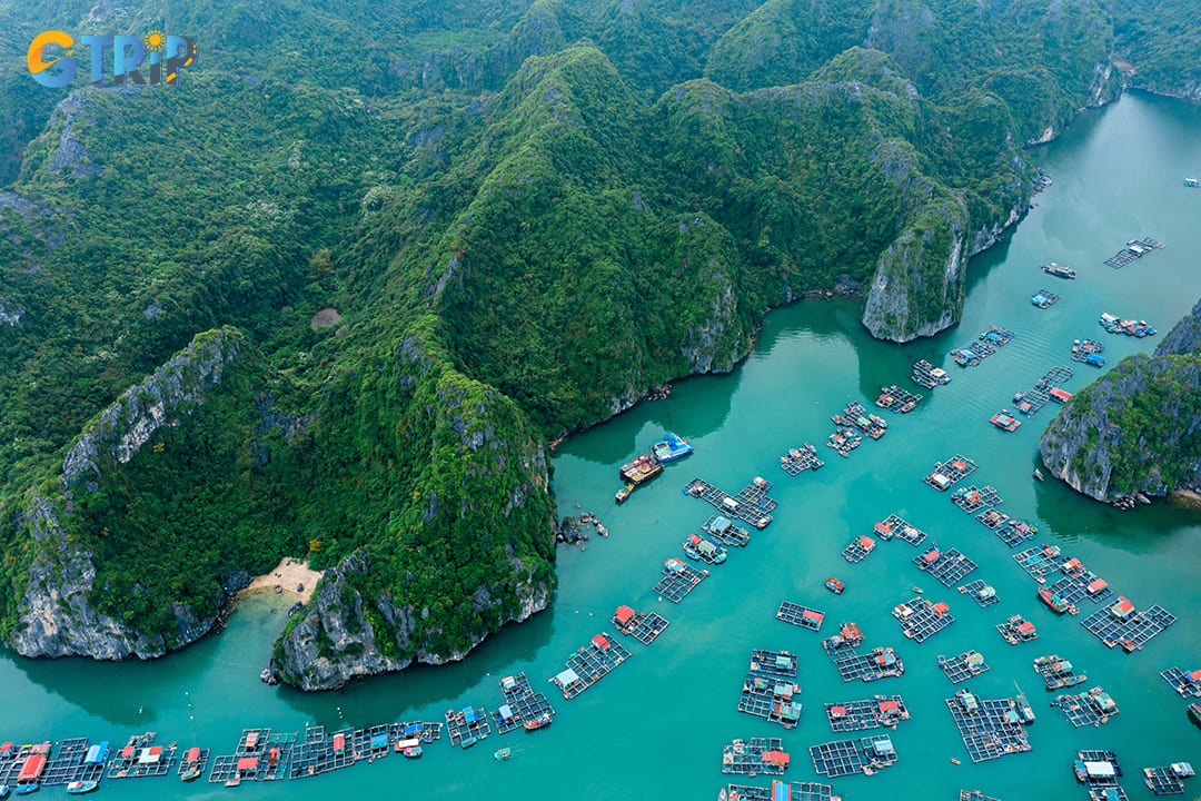 Cat Ba Island is a remarkable destination for those looking to immerse themselves in nature and adventure