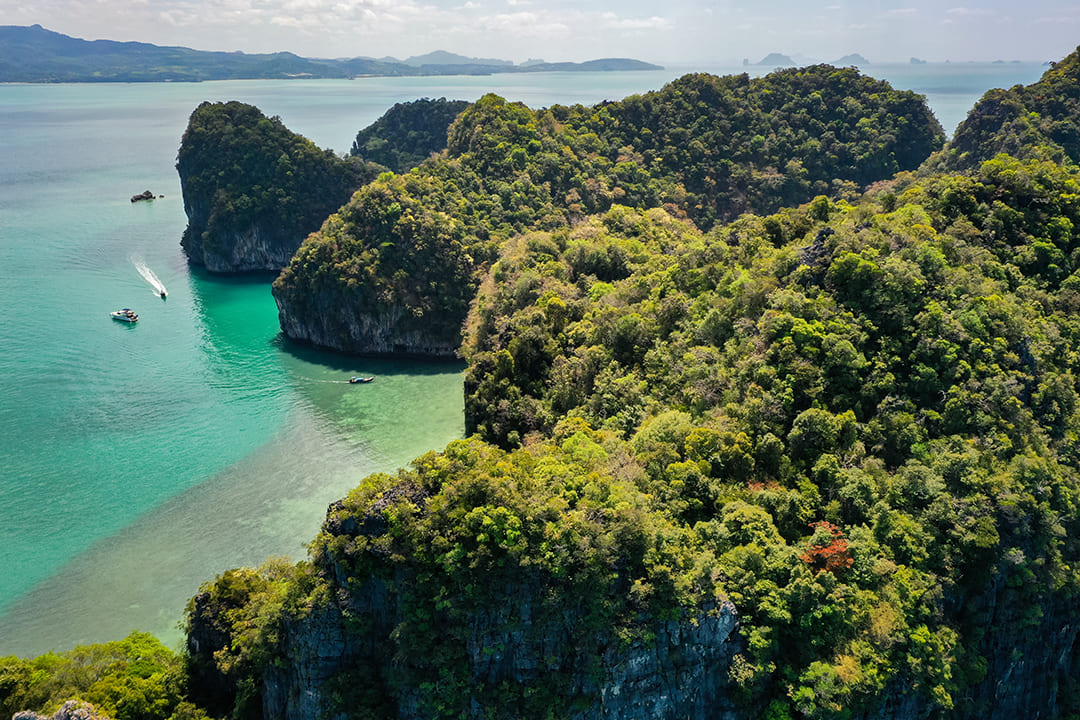 Cat Ba National Park: Activities, Best Time To Visit & Travel Tips