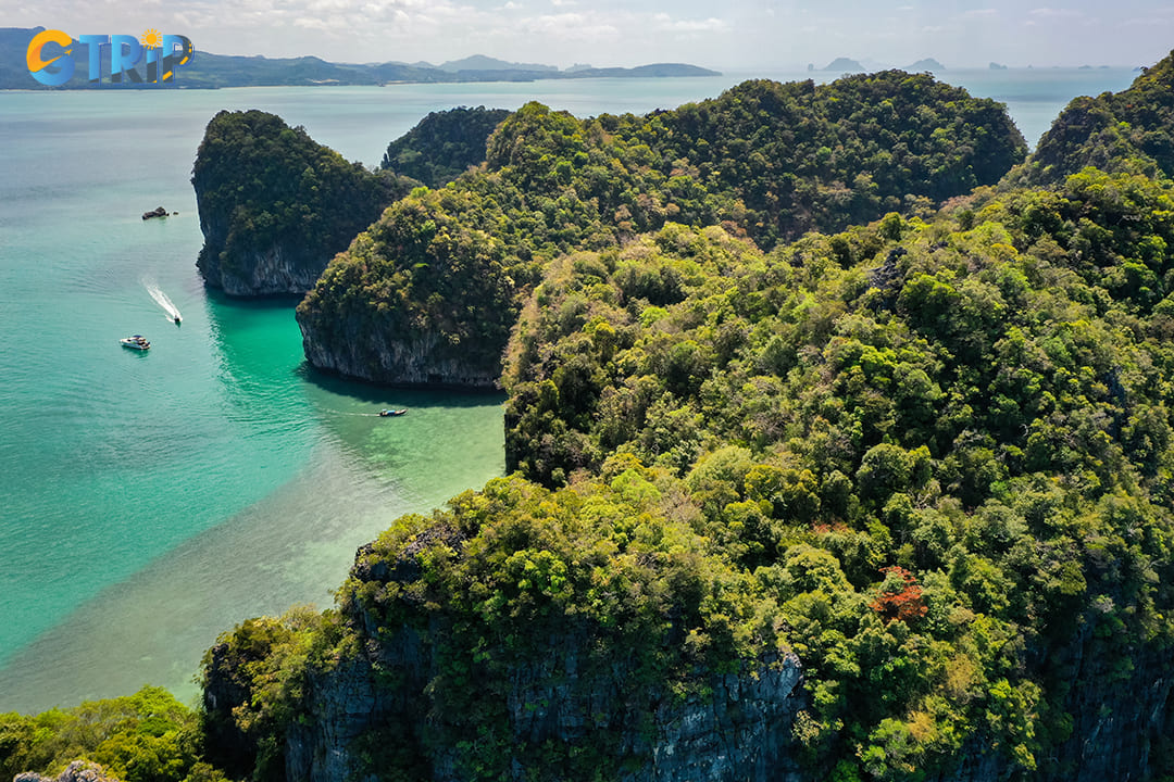 Cat Ba National Park boasts remarkable biodiversity, housing a vast array of plant and animal species across its tropical forests