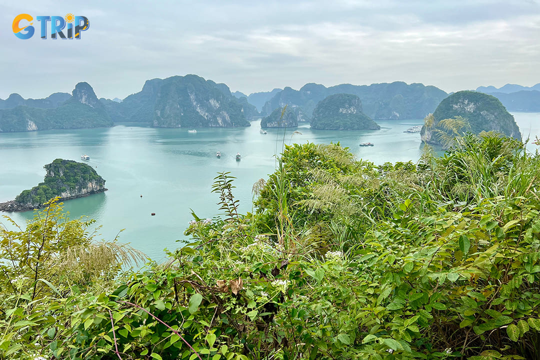 Cat Ba National Park is a stunning natural reserve