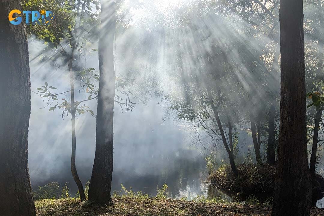 Cicada Ho Tram Nature Reserve is an ideal place to go for a walk and learn more about nature