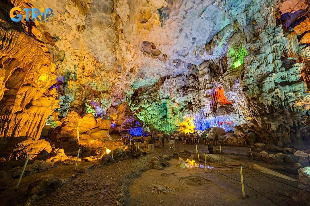 Colorful illumination in Dau Go Cave in Ha Long