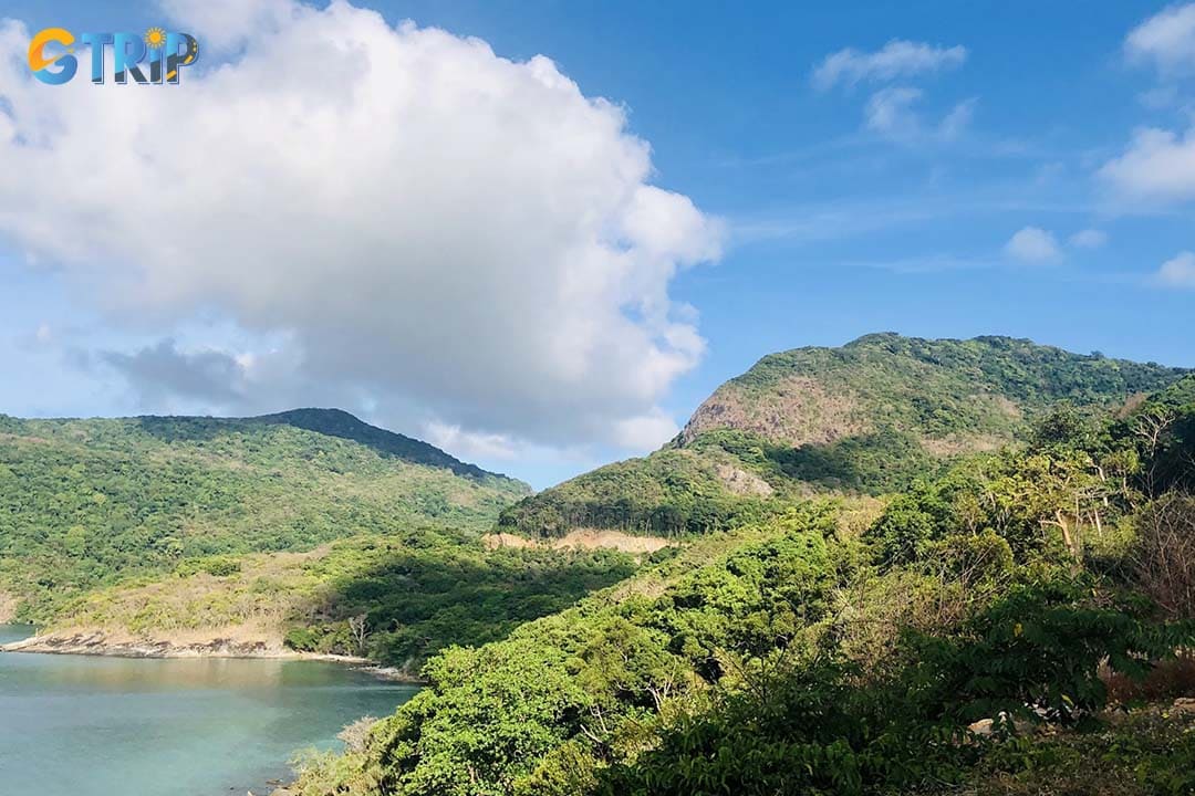 Con Dao National Park, covering most of the archipelago, is a biodiversity-rich haven where travelers can trek through dense tropical forests, spot rare wildlife