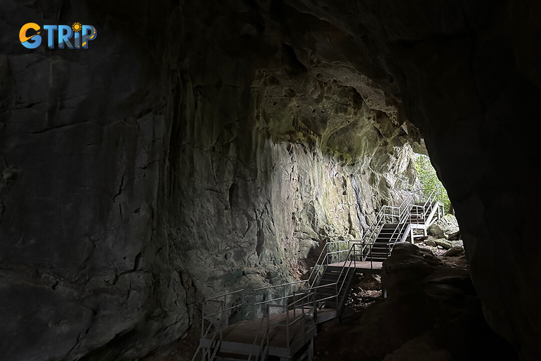 Con Muong Cave in Cuc Phuong National Park