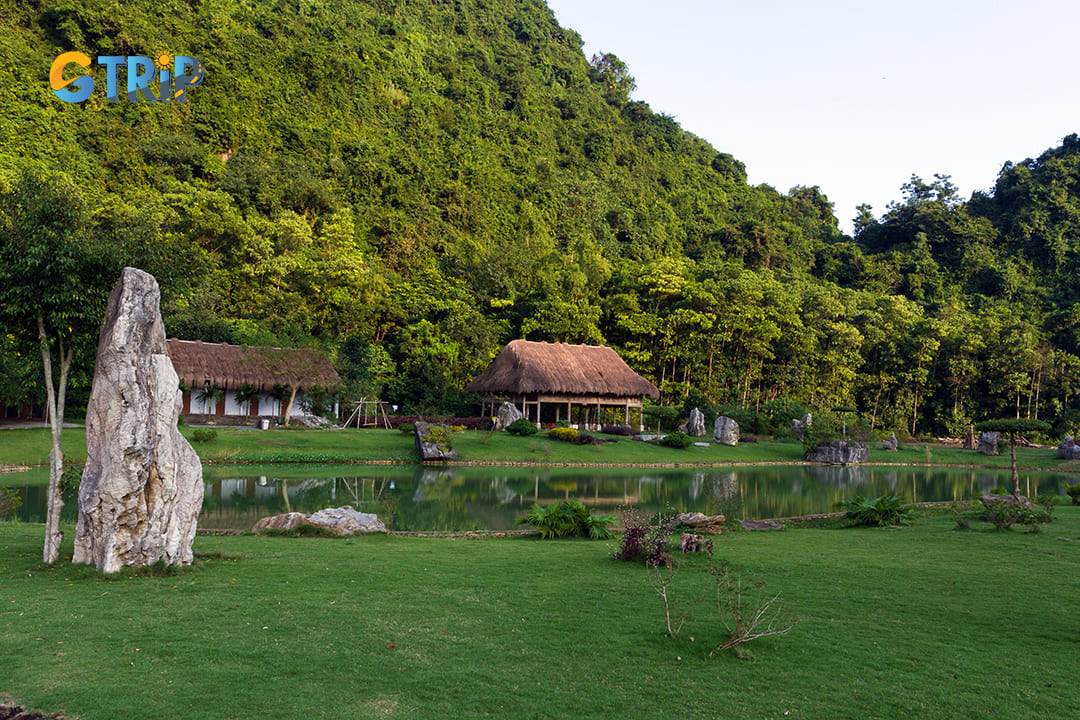 Conservation activities in Thung Nham are always preserved and improved, helping this place always attract tourists every year