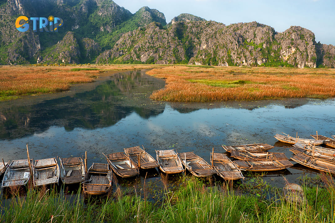 Van Long wetland is an important area to preserve, the autumn view of Van Long