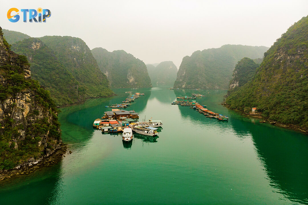 Traditional Cua Van Floating Village in Ha Long