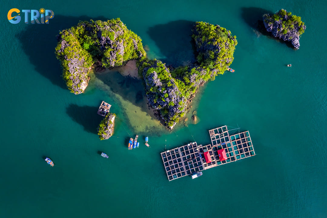 Cua Van Fishing Village offers a unique cultural experience