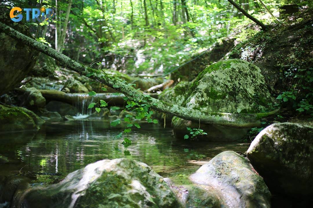 Cuc Phuong National Park offers eco-lodges, adventure trails, and wildlife encounters, perfect for nature lovers and adventurers