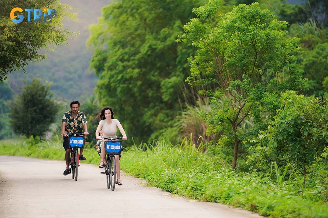 Cycle through Ninh Binh’s countryside, exploring rice fields, villages, and scenic trails while soaking in the local culture