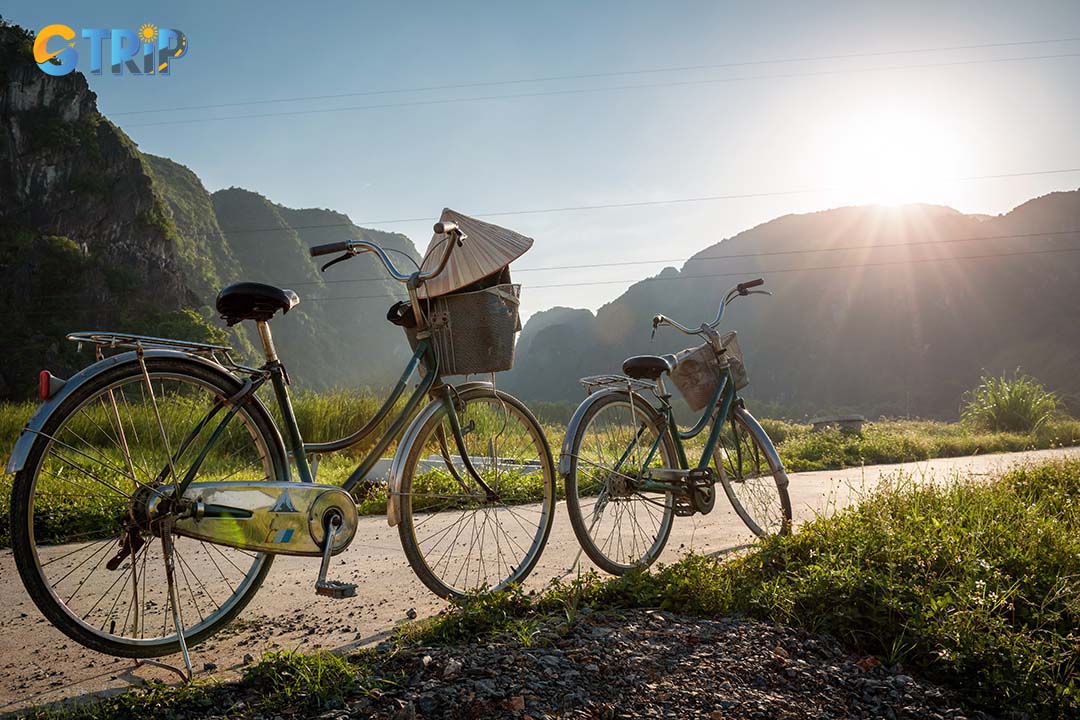 Cycling is an interesting activity you cannot miss when visiting Ninh Binh. This activity allows you to see ripe rice fields, and lowering limestone mountains and breathe fresh air