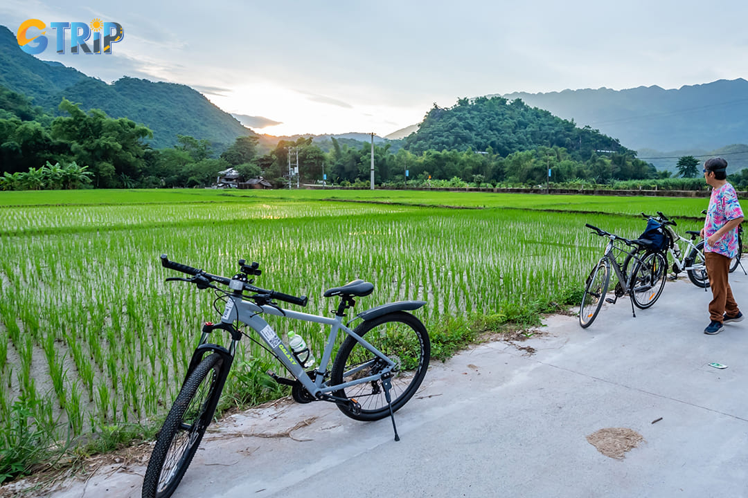 Cycling is another fantastic way to explore Lac Village and its surroundings
