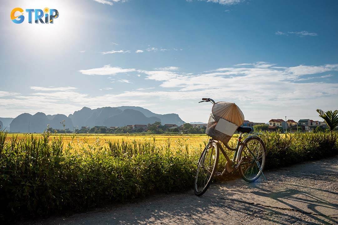 Cycling is one of the land activities that you must definitely try when coming to Ninh Binh