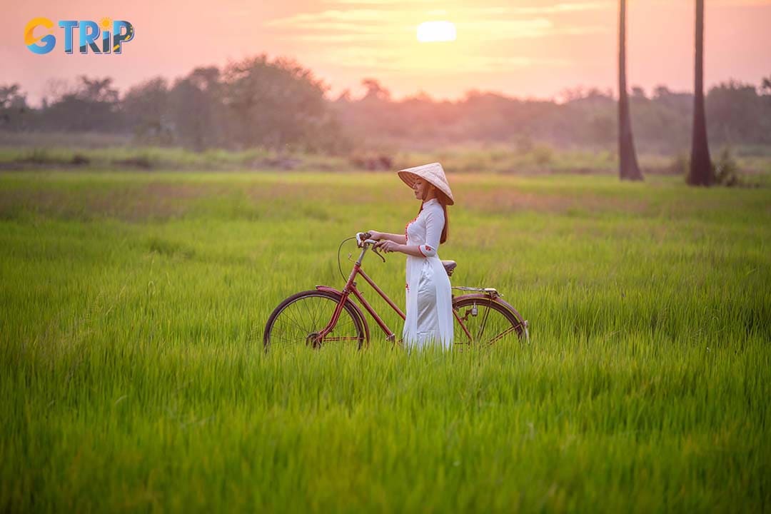 Cycling through Ninh Binh offers a scenic adventure, with paths winding through Van Long and Tam Coc’s lush rice fields and tranquil landscapes