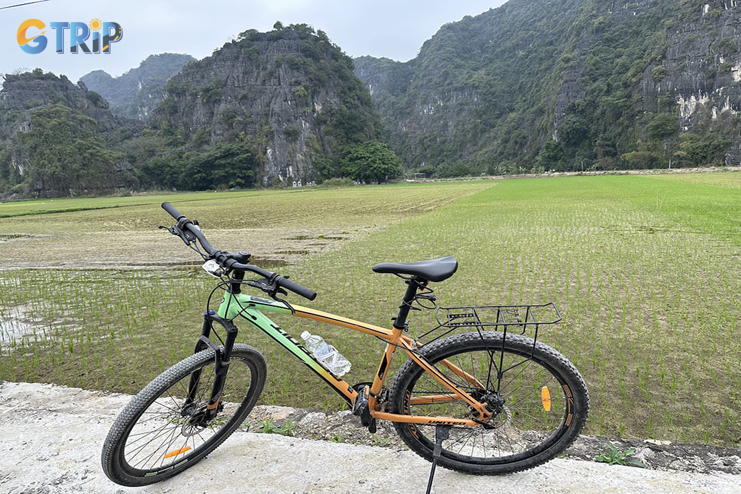 Cycling through Ninh Binh’s stunning landscapes offers a wealth of health benefits