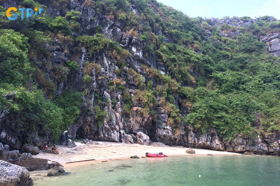 Dau Be Island is a snorkeling destination that highlights the rich diversity of coral reefs and marine life