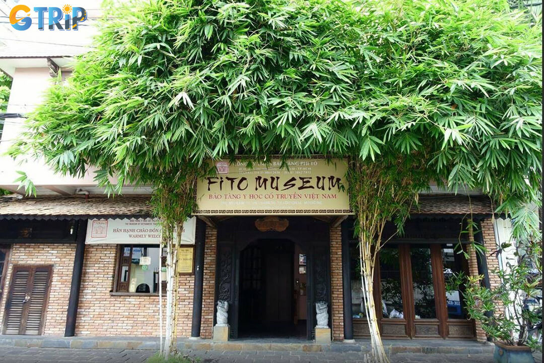 Discover nearby gems like the FITO Museum all just minutes from the Vietnamese National Buddhist Temple