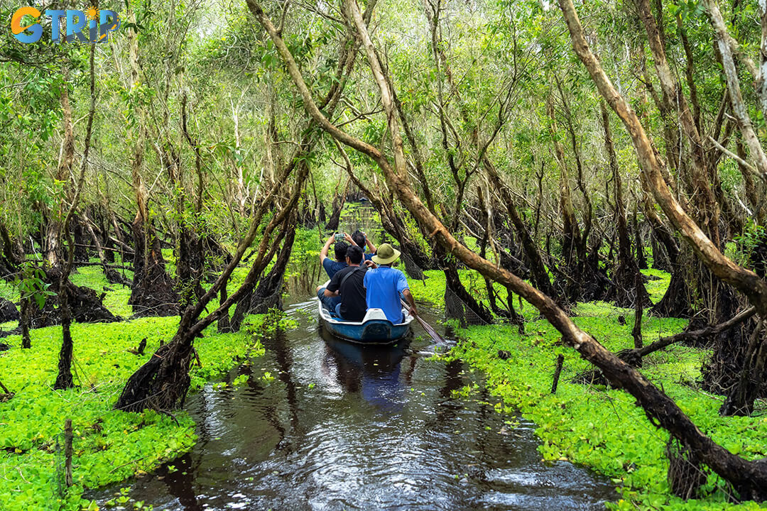 Discover the Can Gio Mangrove Forest, a UNESCO Biosphere Reserve offering boat tours, wildlife spotting, and a serene escape from Ho Chi Minh City