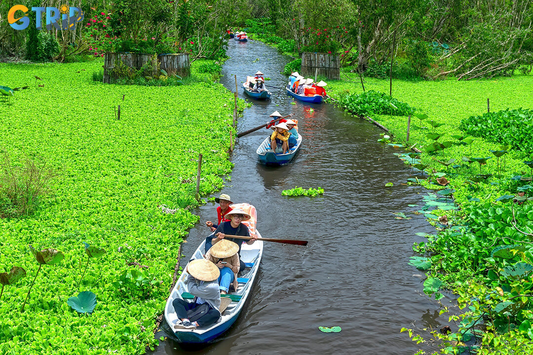 Discover the Mekong Delta on a day trip from Ho Chi Minh City, cruising serene canals, visiting local villages, sampling coconut candy, and enjoying traditional folk music