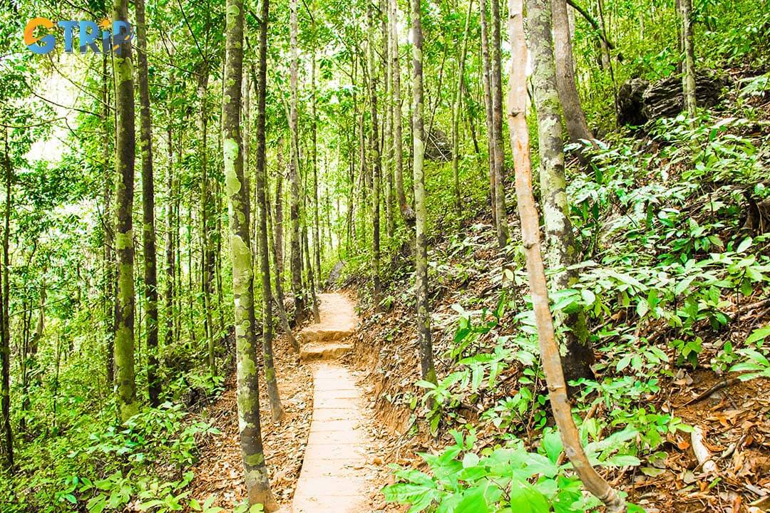 Don’t forget insect repellent, a first aid kit, personal toiletries, and a lightweight backpack for day trips, especially in areas like Cat Ba National Park