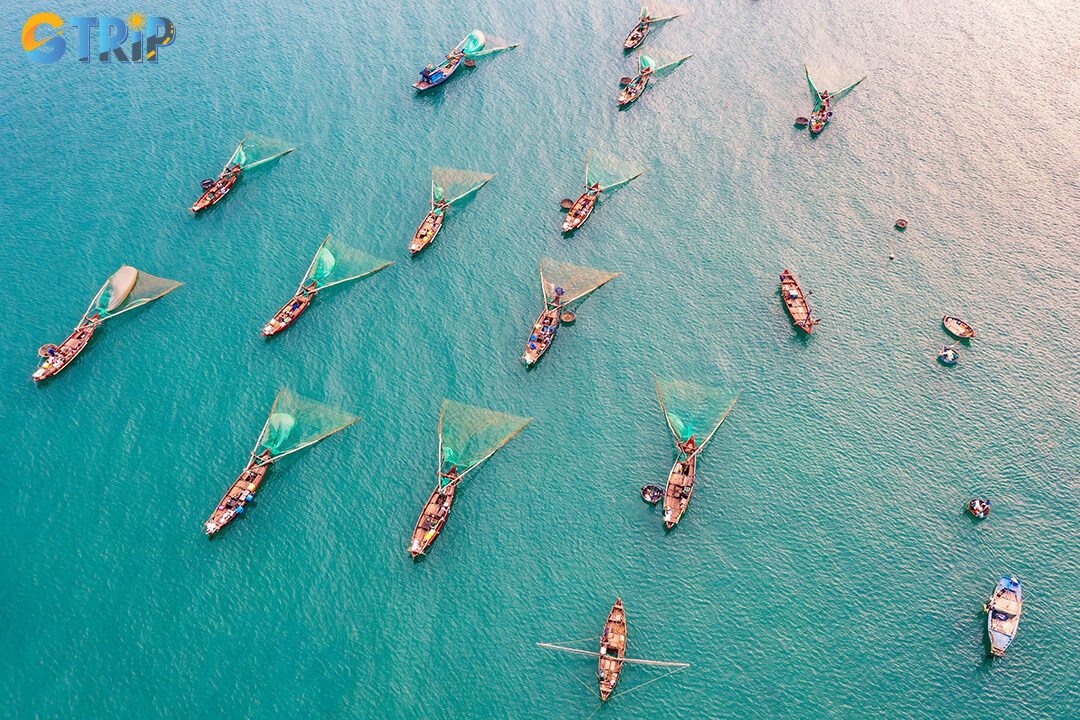 Due to pedestrian-hour restrictions in Hoi An Ancient Town, visitors usually reach the house on foot, by bicycle, or by cyclo after parking outside the heritage zone