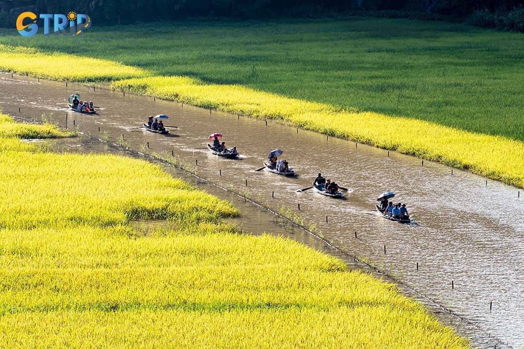 Early booking in Ninh Binh, especially during festivals or harvest season, ensures better options and discounts