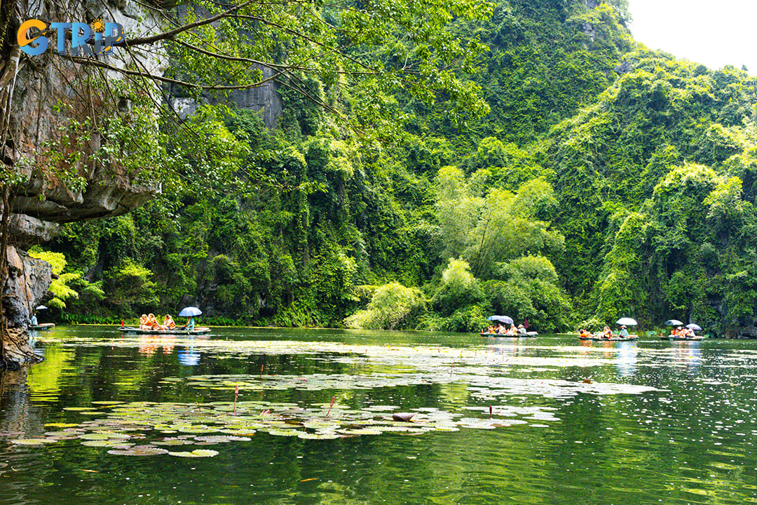 Early mornings and late afternoons are the best times for boat tours