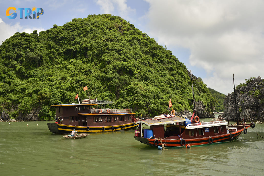 Eco-tourism in Cat Ba encourages responsible travel and conservation efforts