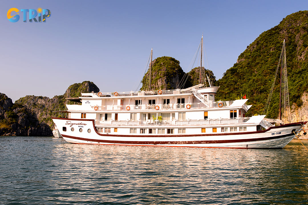 Embark on a guided cruise for a comfortable and informative journey to Tien Ong Cave