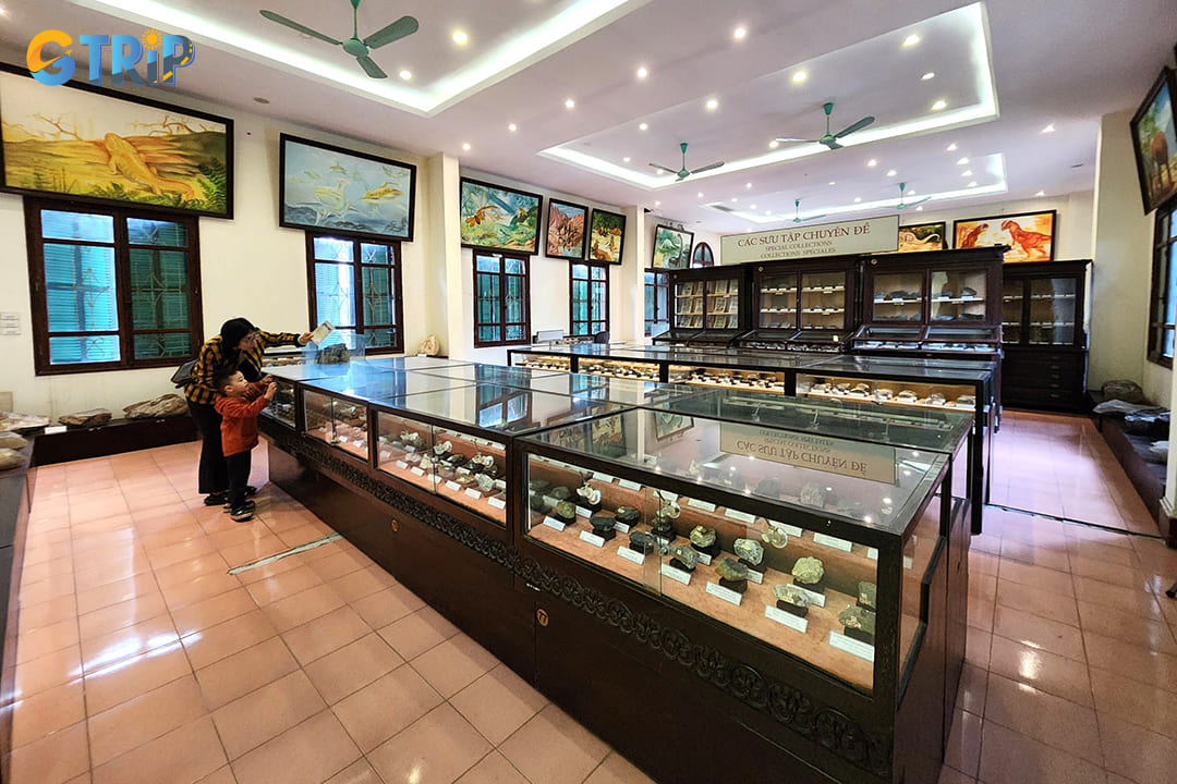 Enhancing your experience at the Geological Museum of Vietnam requires understanding a few essential guidelines