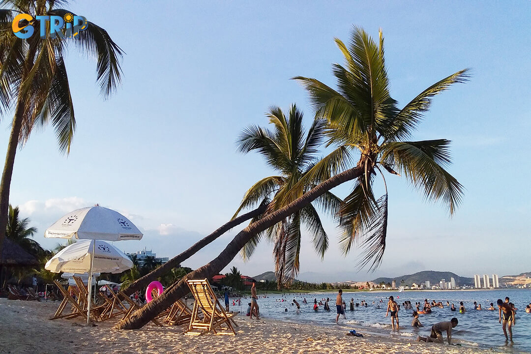 Many activities are taking place on the beach