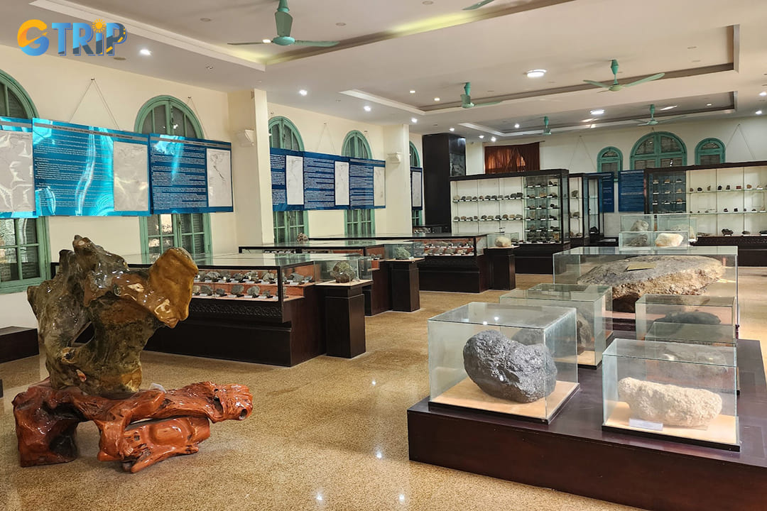 Entry to the Geological Museum of Vietnam is completely free of charge for all visitors