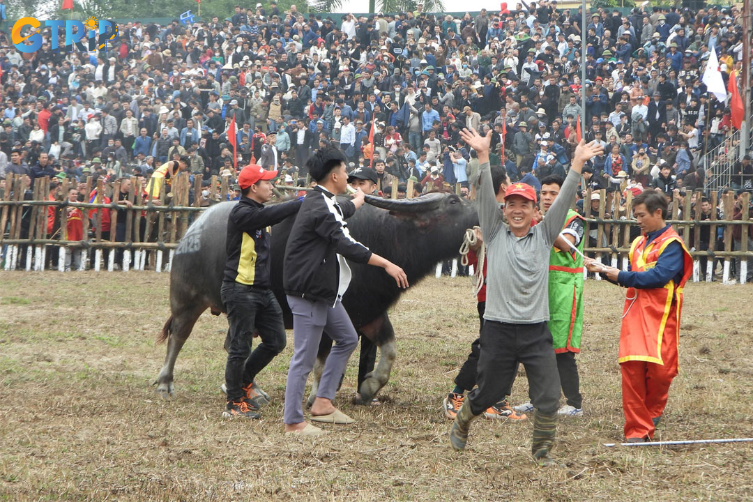 The owner is delighted with the victory