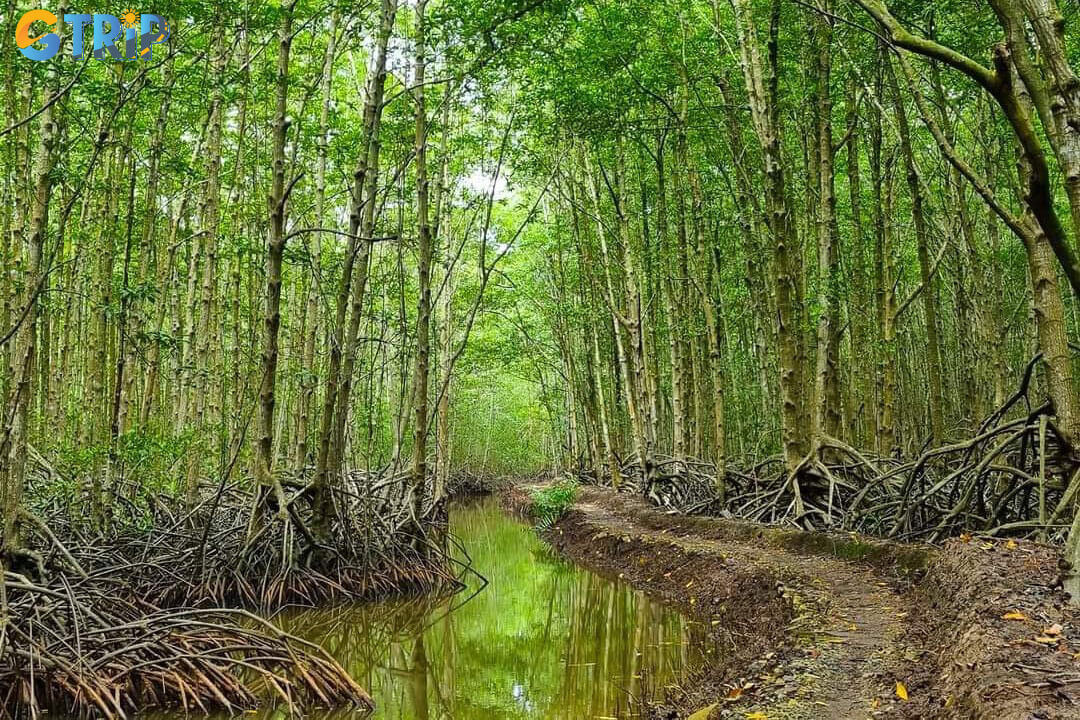 Essential tips for visitors to make the most of their Monkey Island experience