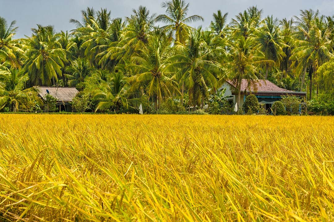 Ben Tre Traditional Cultural Festival 2025
