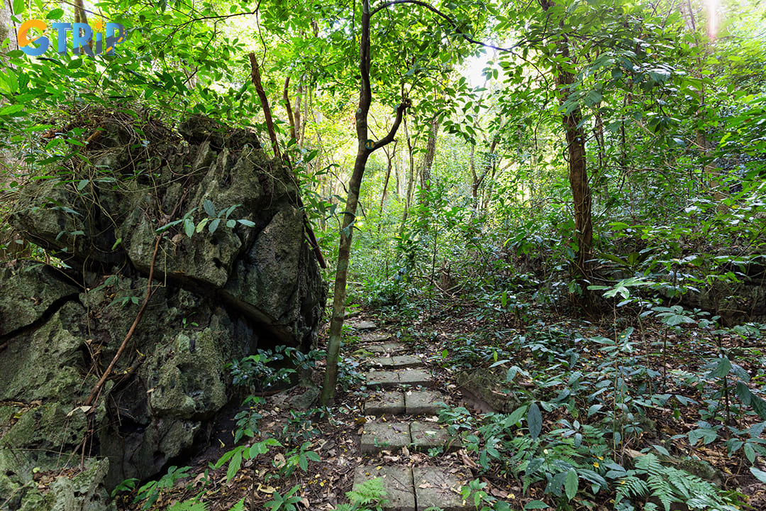 Every trail provides an extensive exploration of the park