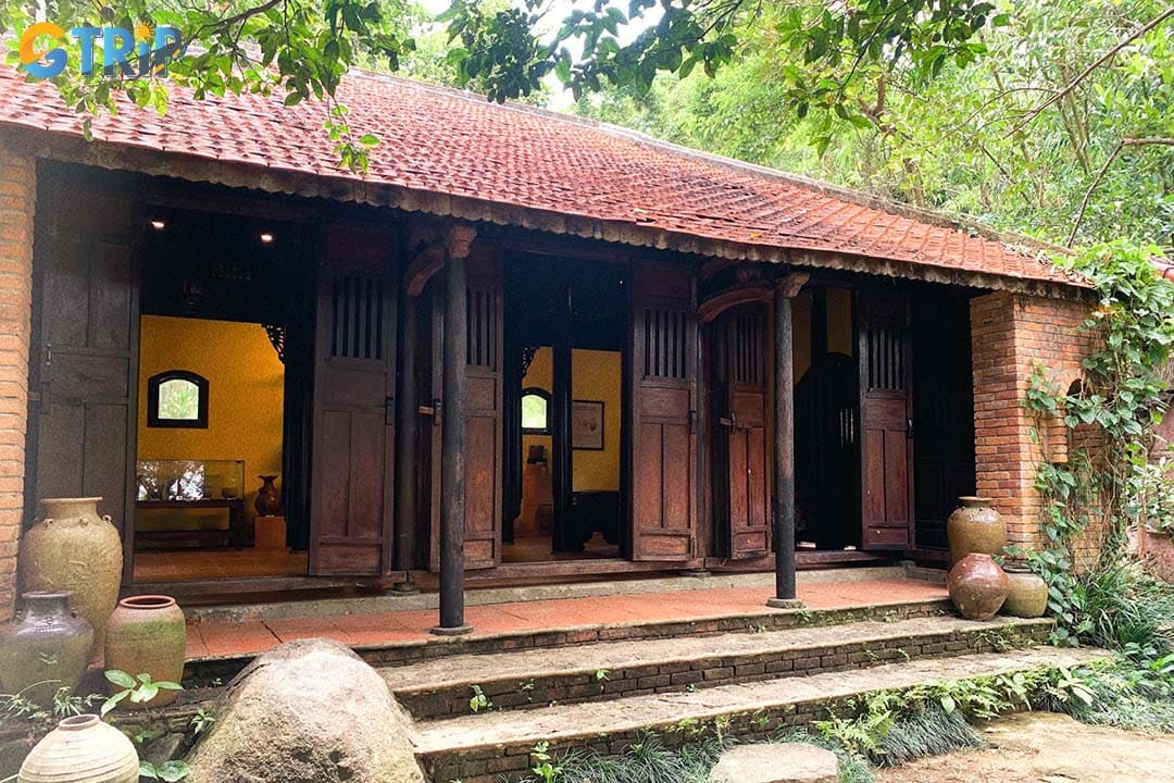 Experience a peaceful blend of nature, culture, and Vietnamese heritage on Son Tra Peninsula at Dong Dinh Museum