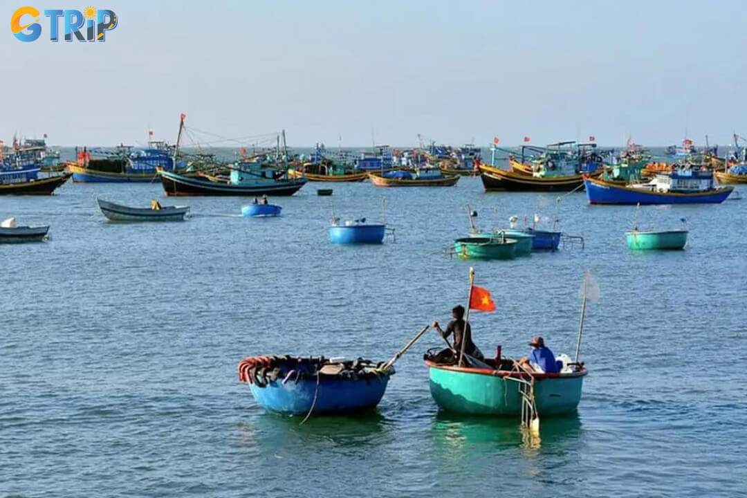 Experience authentic coastal life at Phuoc Hai Fishing Village, where fresh seafood from local fishermen can be enjoyed straight from the morning market