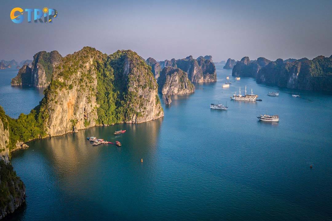 Experience luxury aboard cruises like the Signature Cruise in Bai Tu Long Bay, which offers premium services, stunning views