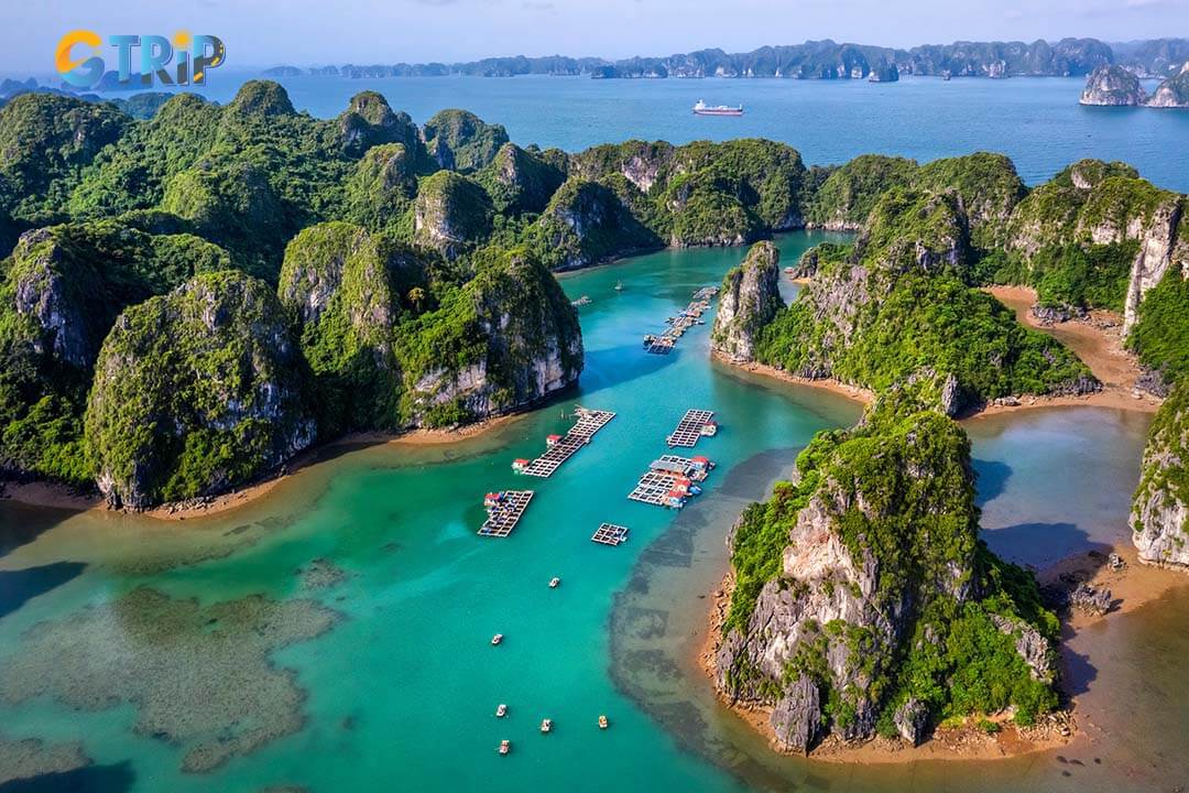 Experience traditional fishing in Ha Long Bay and connect with local fishermen while exploring the region’s rich maritime heritage